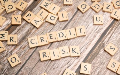 Jak samodzielnie obliczyć zdolność kredytową na sucho?